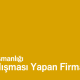 seo-danismanligi-yapan-firmalar